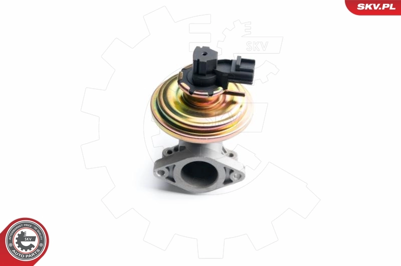 EGR Valve